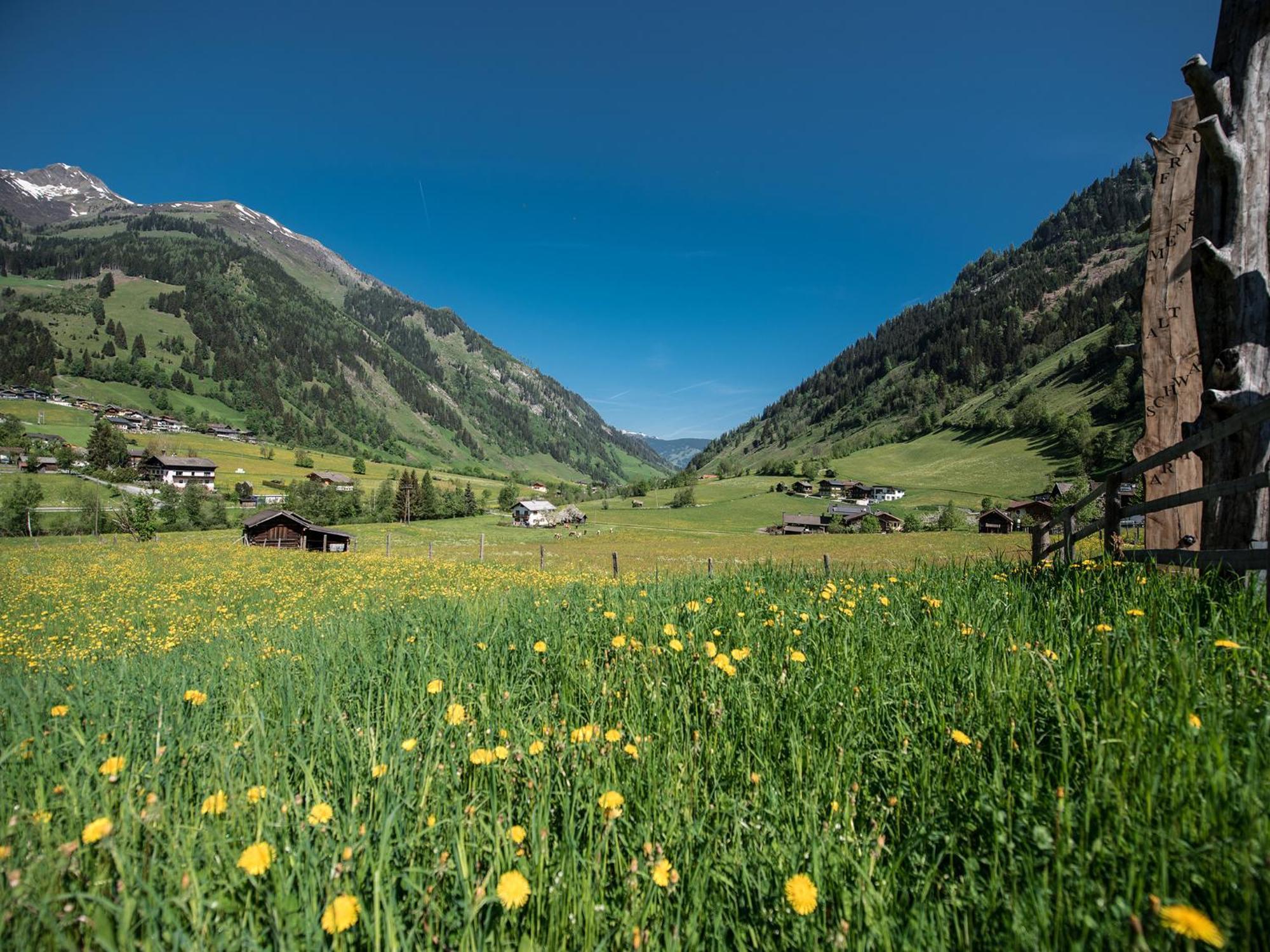 Appartement-Pension Fahrnberggut Rauris Bagian luar foto